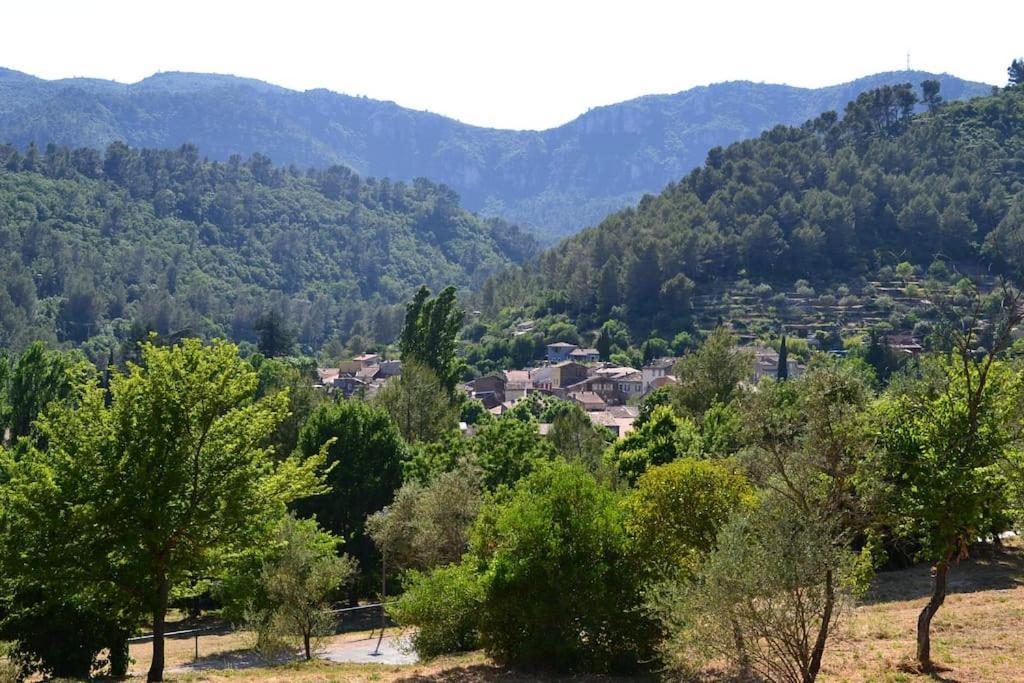 Cosy Provencal Apartment Belgentier Bagian luar foto