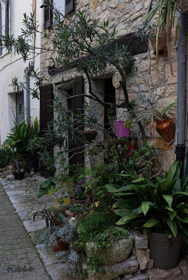 Cosy Provencal Apartment Belgentier Bagian luar foto