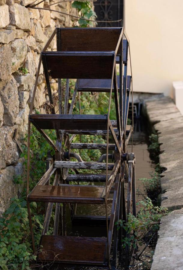 Cosy Provencal Apartment Belgentier Bagian luar foto