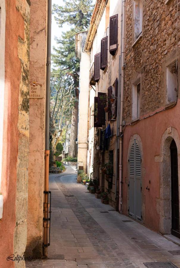 Cosy Provencal Apartment Belgentier Bagian luar foto