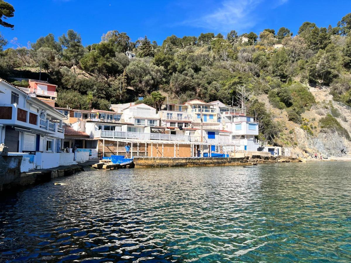 Cosy Provencal Apartment Belgentier Bagian luar foto