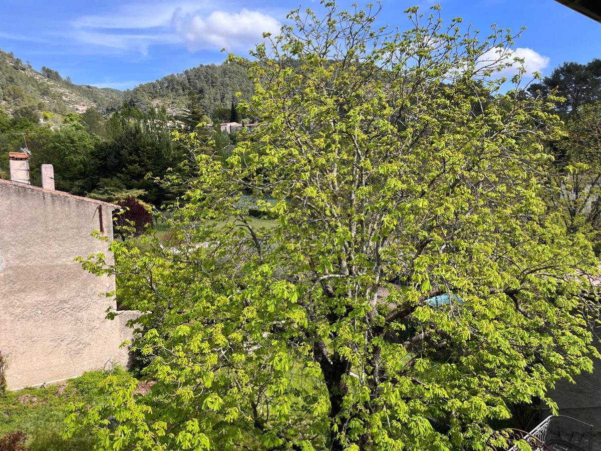 Cosy Provencal Apartment Belgentier Bagian luar foto